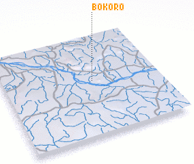 3d view of Bokoro