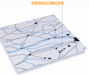 3d view of Pieńki Słubickie