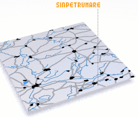 3d view of Sînpetru Mare