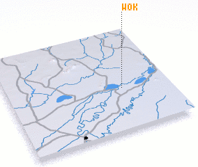 3d view of Wok