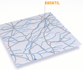 3d view of Banatil