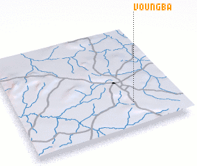 3d view of Voungba