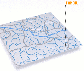 3d view of Tambili