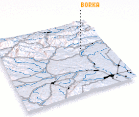 3d view of Borka