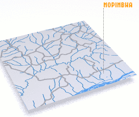 3d view of Mopimbwa