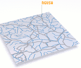 3d view of Ngusa