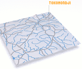 3d view of Tokomondji