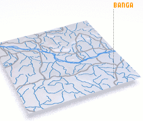 3d view of Banga