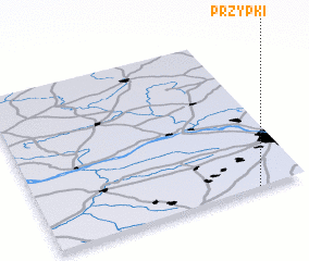 3d view of Przypki