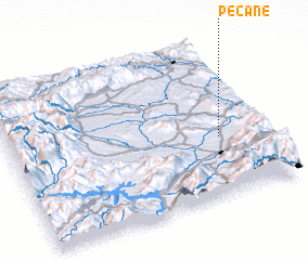 3d view of Pećane