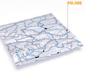 3d view of Poloma