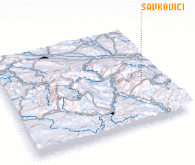 3d view of Savkovići