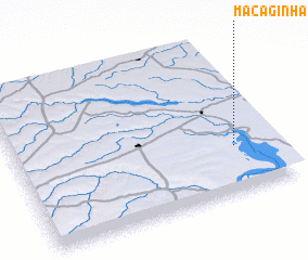 3d view of Macaginha