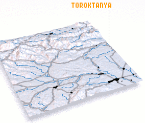 3d view of Toroktanya