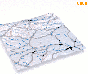 3d view of Onga