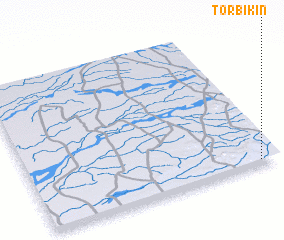 3d view of Torbikin