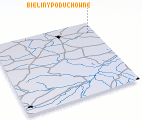 3d view of Bieliny Poduchowne