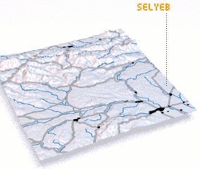 3d view of Selyeb