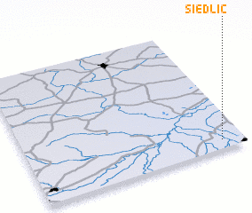 3d view of Siedlic