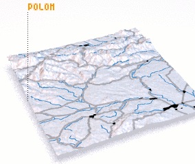 3d view of Polom