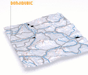 3d view of Donji Dubič