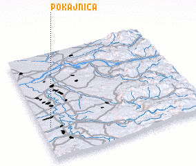 3d view of Pokajnica