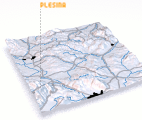 3d view of Plešina