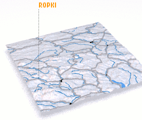 3d view of Ropki