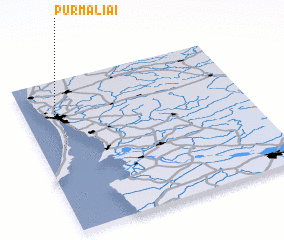 3d view of Purmaliai