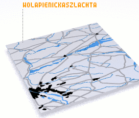 3d view of Wola Pienicka Szlachta