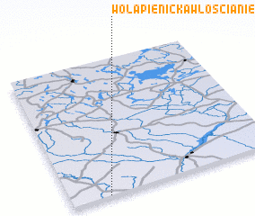 3d view of Wola Pienicka Włościanie