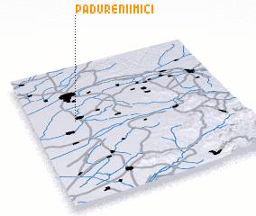 3d view of Pădurenii Mici