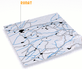 3d view of Ronaţ