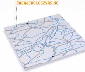 3d view of Zagaje Boleszyńskie