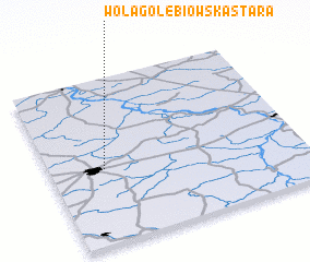 3d view of Wola Gołębiowska Stara