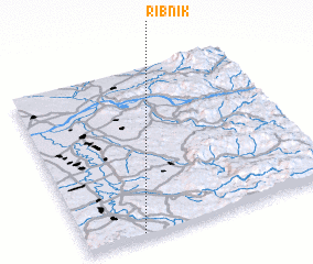 3d view of Ribnik
