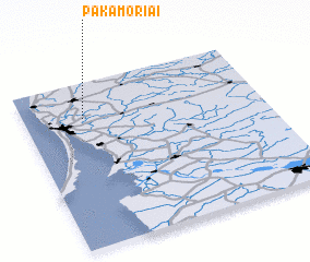 3d view of Pakamoriai