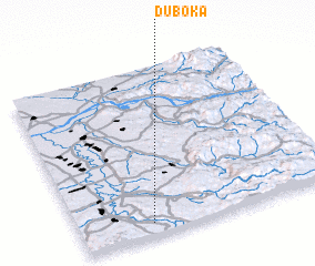 3d view of Duboka