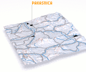 3d view of Pakašnica