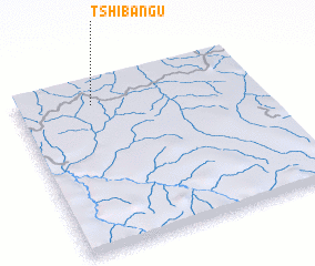 3d view of Tshibangu