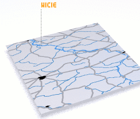 3d view of Wicie