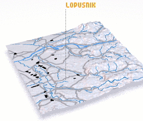 3d view of Lopušnik