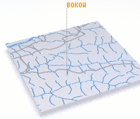 3d view of Bokow