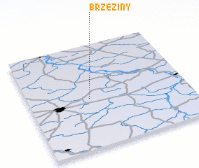 3d view of Brzeziny