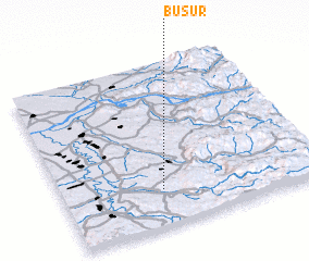 3d view of Busur