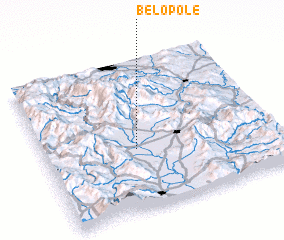3d view of Belo Pole