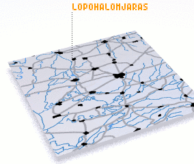 3d view of Lopóhalomjárás