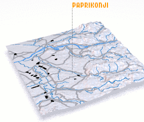 3d view of Paprikonji
