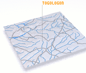 3d view of Togologon