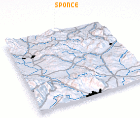 3d view of Sponce